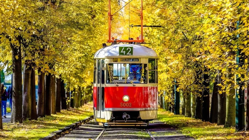 Prague: Full-Day Guided Tour of Prague in a Small-Group - Lunch is your own chance to pause
