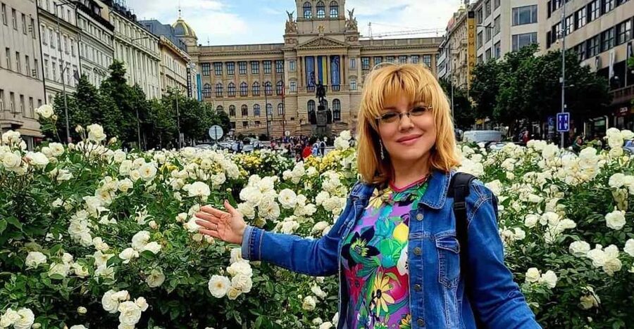 Prague: Highlights of Prague Private Half-Day Tour by Car - Prague Castle and the Old Royal Palace