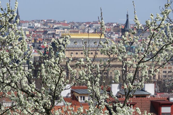 Prague Literary & Historical Tours - Literature Route - Bartolomějská keeps the story unpredictable