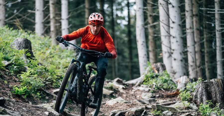 Prague Mountain Biking: Blast Through The Best Singletracks - From Prague Streets to Bohemian Forest Trails