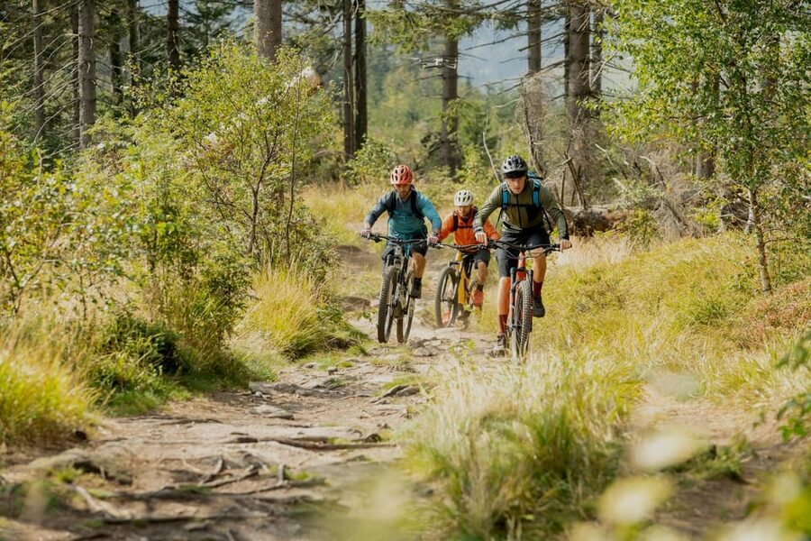 Prague Mountain Biking: Blast Through The Best Singletracks - Why the Private Format Is Worth the Price