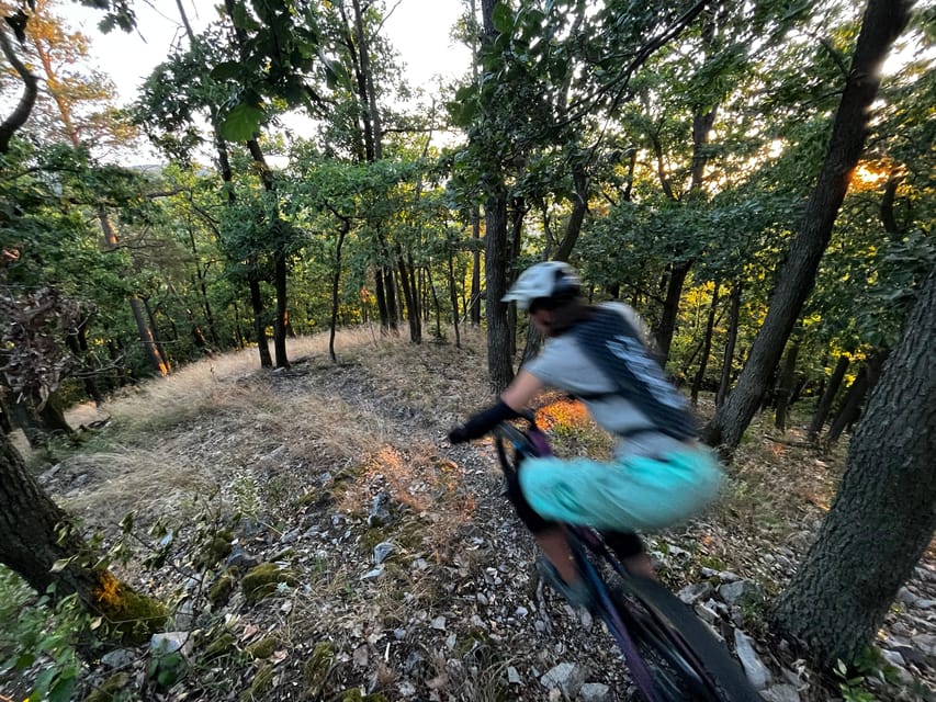 Prague Mountain Biking: Blast Through The Best Singletracks - Who Will Get the Most From This Ride?