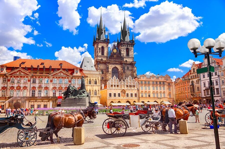 Prague Old Town Family Tour, Attractions, Royal Castle - Accessibility and family pace