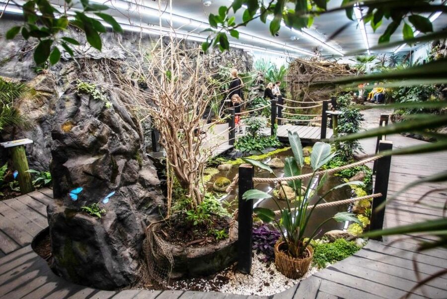 Prague: Papilonia Butterfly House - Small space, real animals, and fair expectations