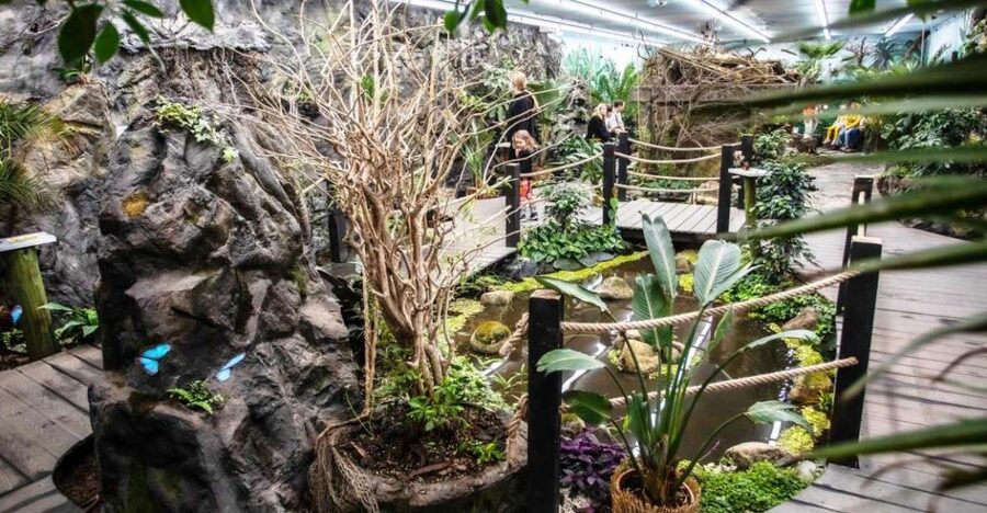 Prague: Papilonia Butterfly House - Getting close without harming the butterflies