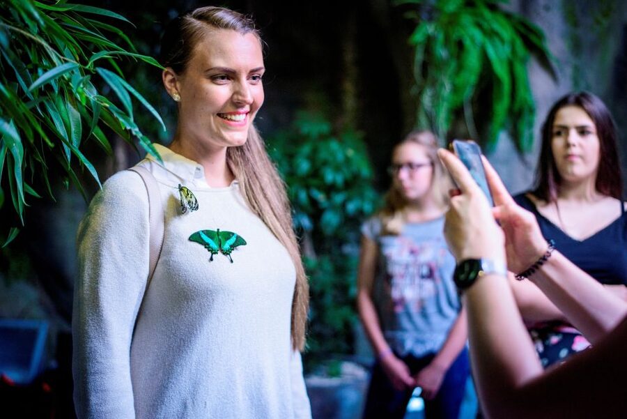 Prague: Papilonia Butterfly House - What the flight zone feels like