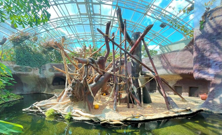 Prague: Prague Zoo Audio Guide with E-Ticket - Should You Book Prague Zoo With the Audio Guide?