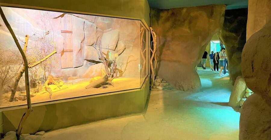 Prague: Prague Zoo Audio Guide with E-Ticket - Using the Two Maps Without Getting Turned Around