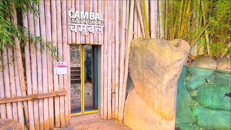 Prague: Prague Zoo Audio Guide with E-Ticket - Is the $22 Price Good Value?