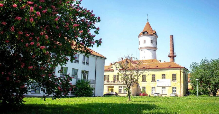 Prague: Psychiatric Hospital and Abandoned Cemetery Tour - Why Bohnice makes an unusual Prague tour