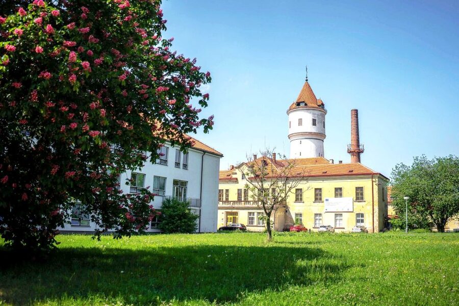 Prague: Psychiatric Hospital and Abandoned Cemetery Tour - Two and a half hours inside the hospital grounds