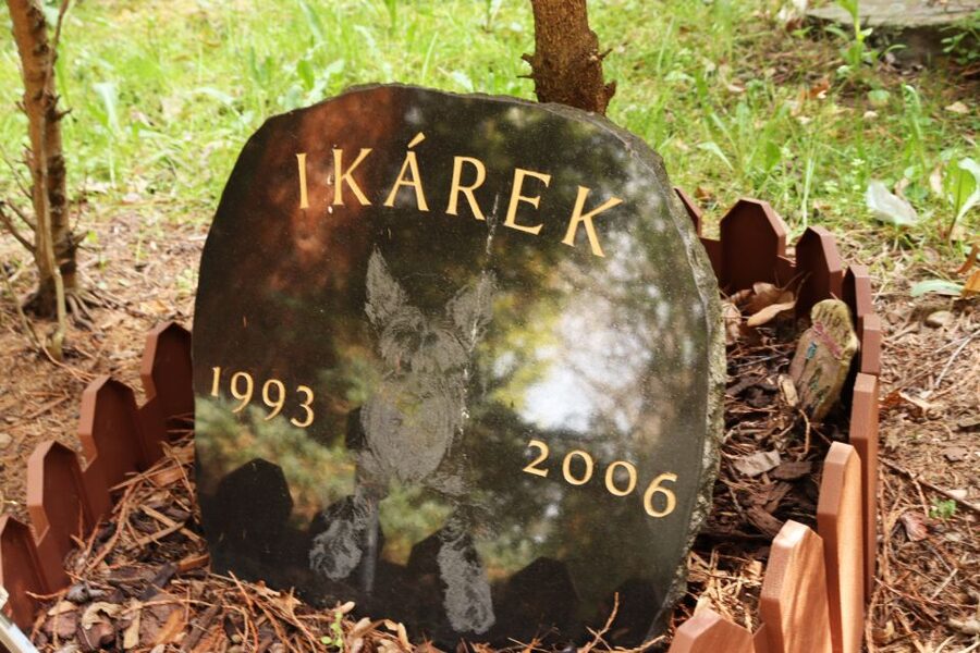 Prague: Psychiatric Hospital and Abandoned Cemetery Tour - The 30-minute walk to Bohnice’s abandoned cemetery