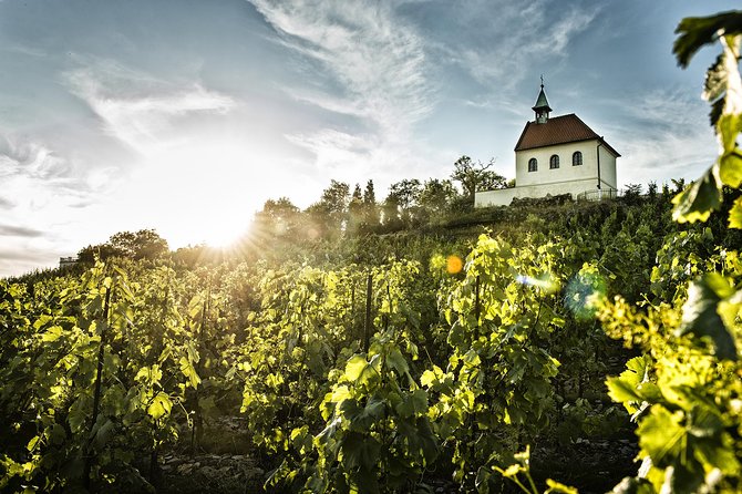 Prague´s Hidden Vineyards Private Tour - Scheduling, weather, and cancellation details