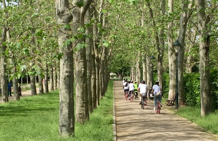 Prague: Stunning Viewpoints, Castle, City & Park E-Bike Tour - Starting near Old Town Square