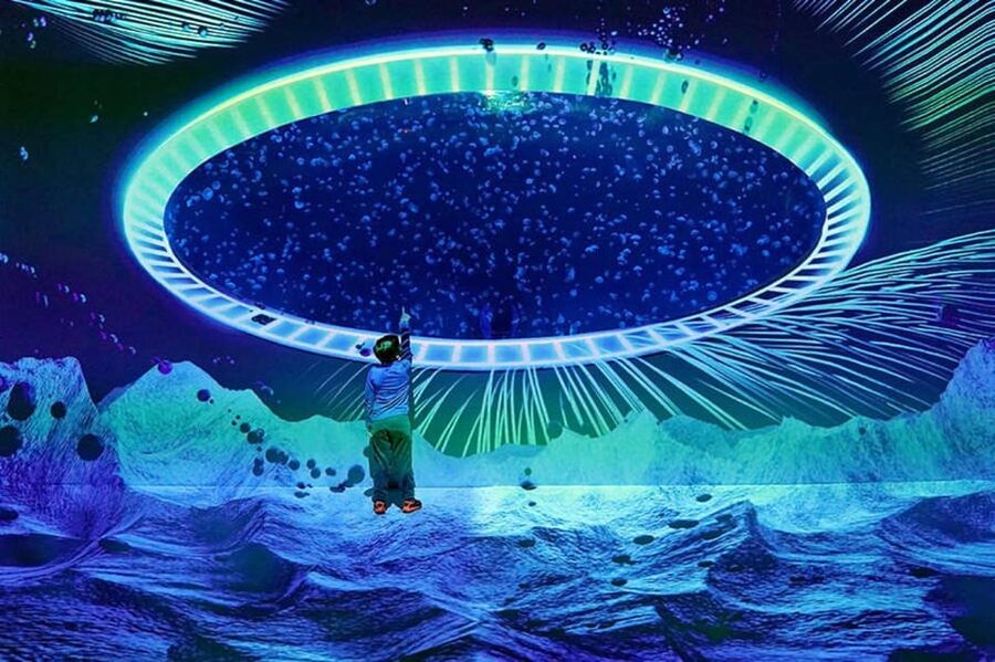 Prague: The World Of Jellyfish Entry Ticket w/ Drink - The Guinness World Records spherical aquarium