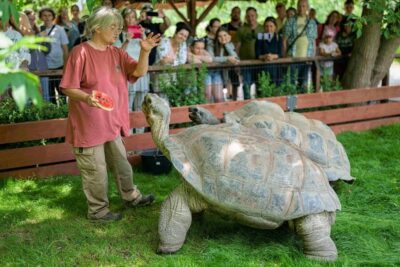 Prague Zoo: Skip-the-Line Entry Ticket