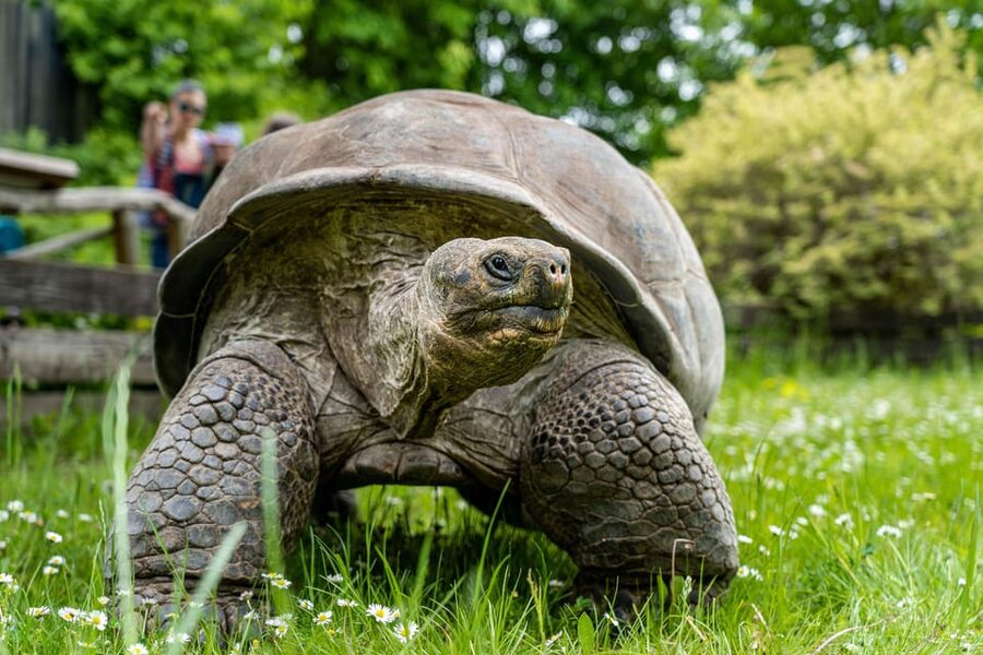 Prague Zoo: Skip-the-Line Entry Ticket - Food, Toilets, and Places to Rest