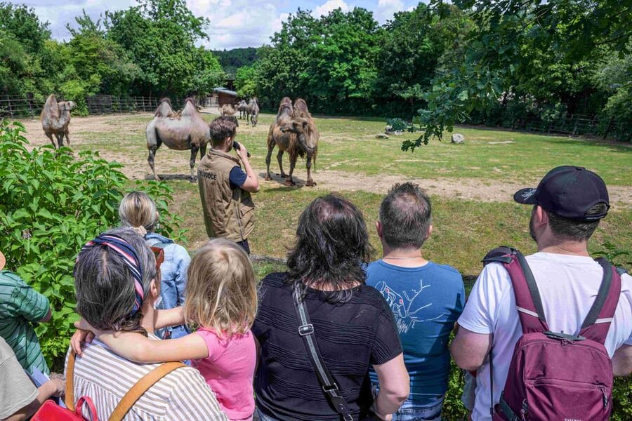 Prague Zoo: Skip-the-Line Entry Ticket - Winter, Heat, Rain, and Animal Activity