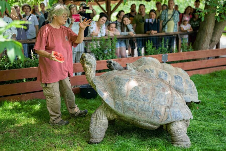 Prague Zoo: Skip-the-Line Entry Ticket - Elephants, Giraffes, and Big Cats