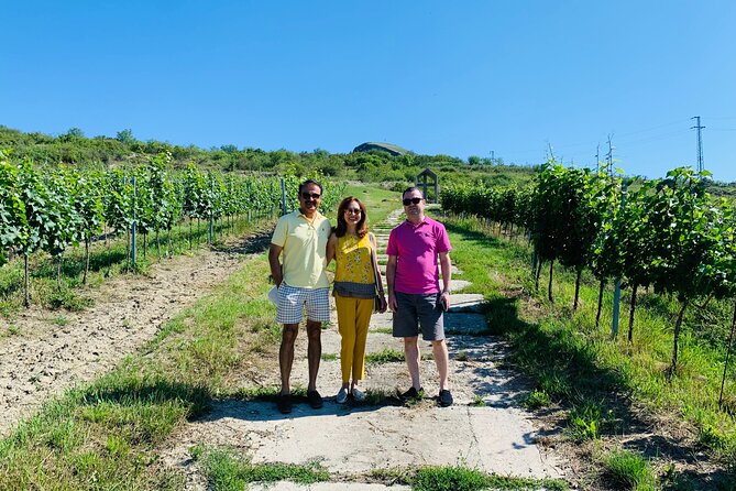 Private Bohemia Wine Tour from Prague with Gourmet Tastings - Why this private Bohemia wine tour works