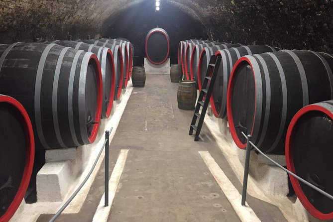 Private Bohemia Wine Tour from Prague with Gourmet Tastings - Medieval cellars at Chateau Velke Zernoseky