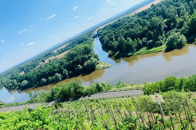 Private Bohemia Wine Tour from Prague with Gourmet Tastings - Radobýl hill and modern Bohemian wine