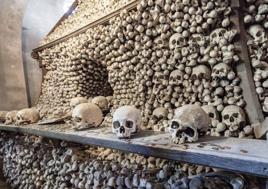 Private Guided Tour from Prague to UNESCO Kutna Hora - Who should book this tour?