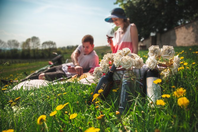 Private PICNIC in Bohemian Vineyards and Wine Tasting 4WD Tour - Leaving Prague for the Bohemian wine country
