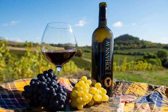 Private PICNIC in Bohemian Vineyards and Wine Tasting 4WD Tour - The Johann W Winery visit in Třebívlice