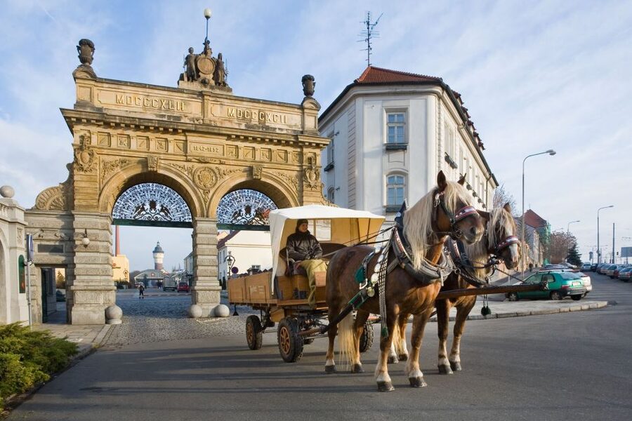Private Pilsen & Pilsner Urquell Brewery Tour Prague - Should you book the Pilsen brewery tour?