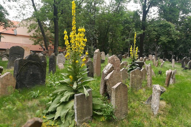 Private Stories of Jewish Prague Walking Tour - Klausen Synagogue and Jewish life in Bohemia
