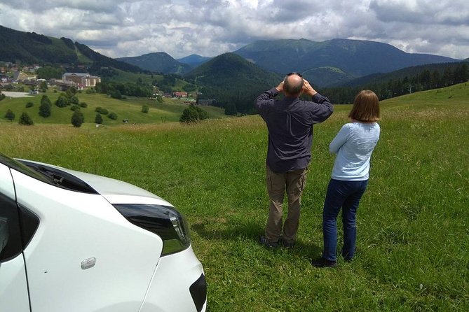 Private transfer in a Sanitized Car Prague to Vienna with 2h stop Cesky Krumlov - The drivers and the level of service