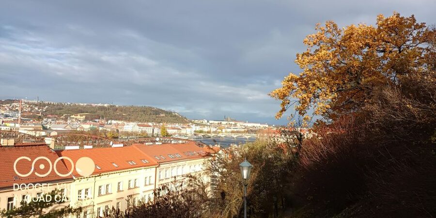 Real life in Prague - Easy Walk from Vysehrad to Vyton - Who Will Enjoy This Prague Dog Walk?