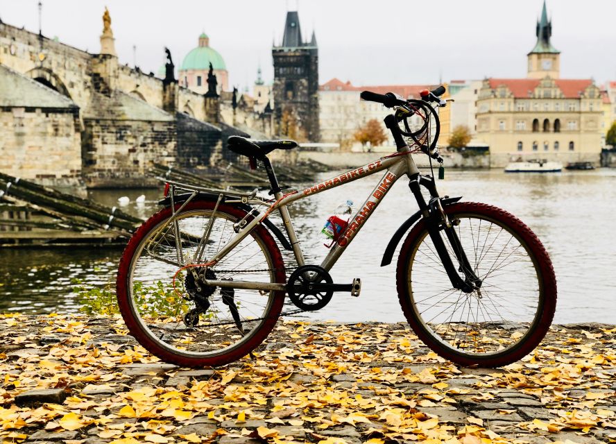 Self-Guided City Bike Tours - Price and value at $29 per person