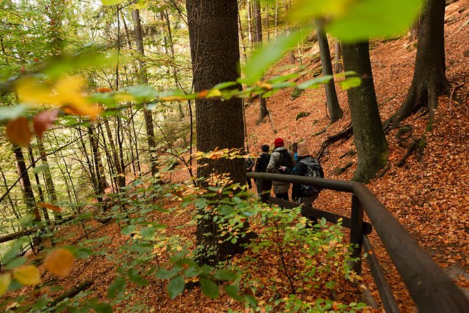 VIP Best Reviews: Bohemian & Saxon Switzerland from Prague - What the small group changes