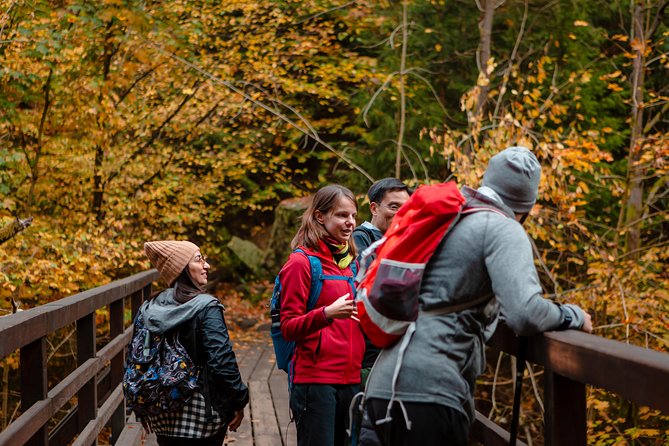 VIP Best Reviews: Bohemian & Saxon Switzerland from Prague - Transport, gear, and the real value of $149.01